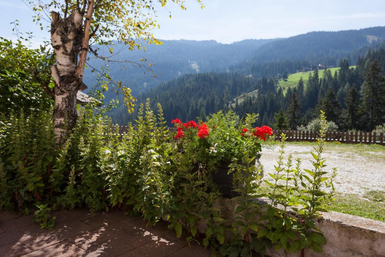 Alpenspitz Appartements - Garni - B&B Racines Extérieur photo